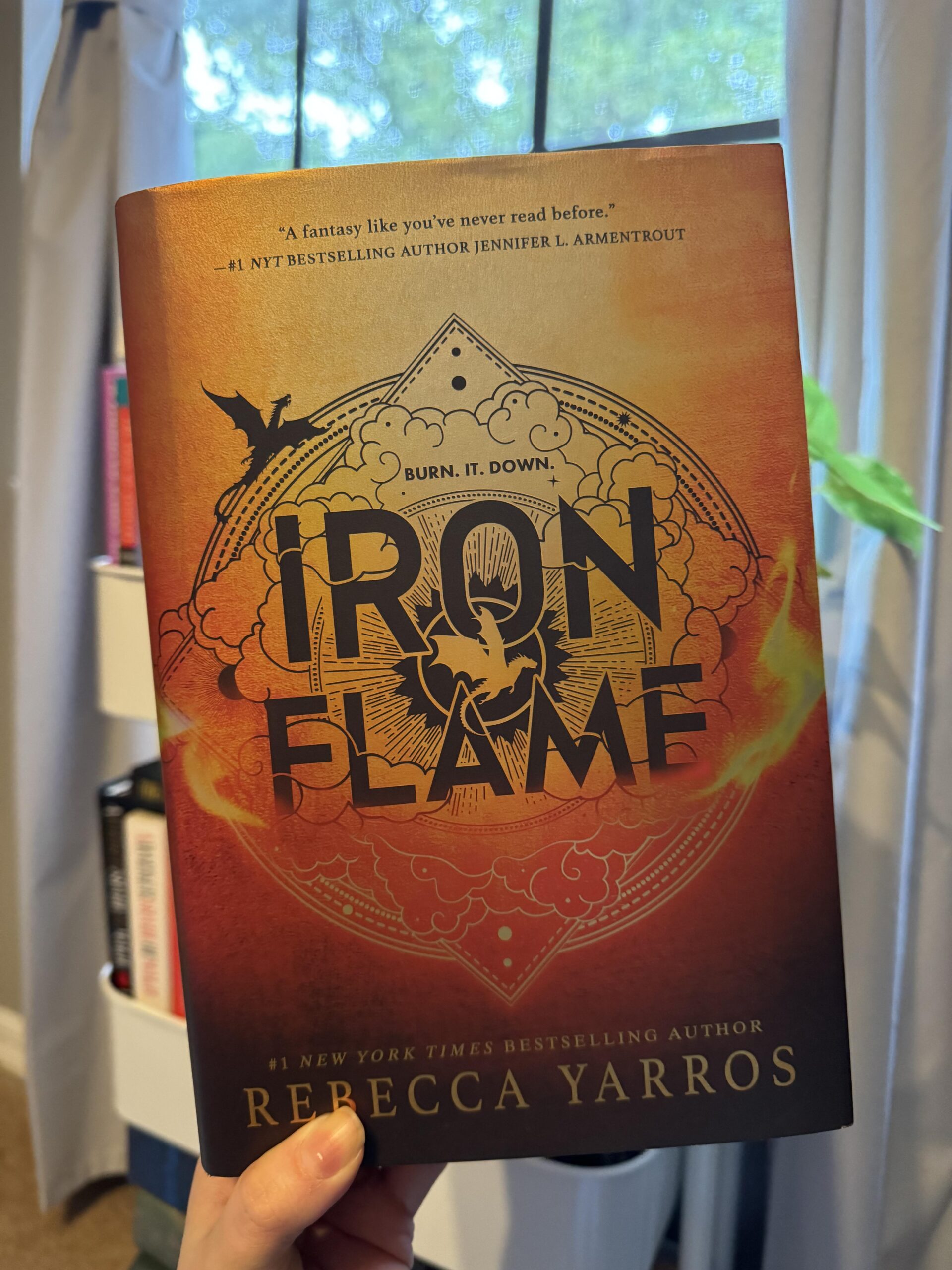 Book Review: Iron Flame - Bri Abroad